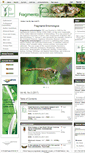 Mobile Screenshot of fragmentaentomol.org